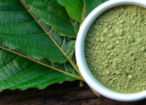 high-quality bali kratom